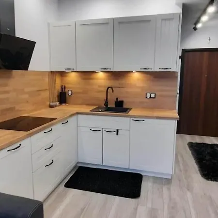 아파트 Hanza Apartmenty