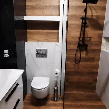아파트 Hanza Apartmenty *